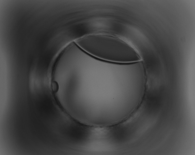 X0000095670835200801081207