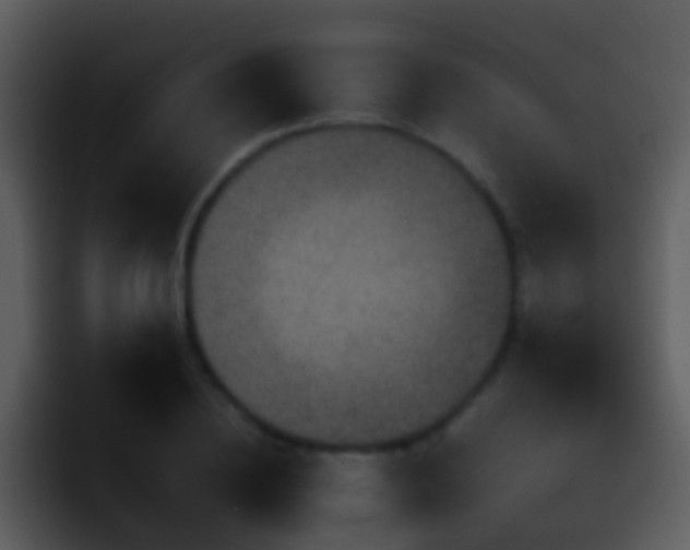X0000095670836200801081207