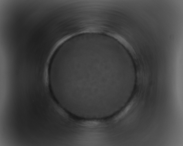 X0000095670838200801081207