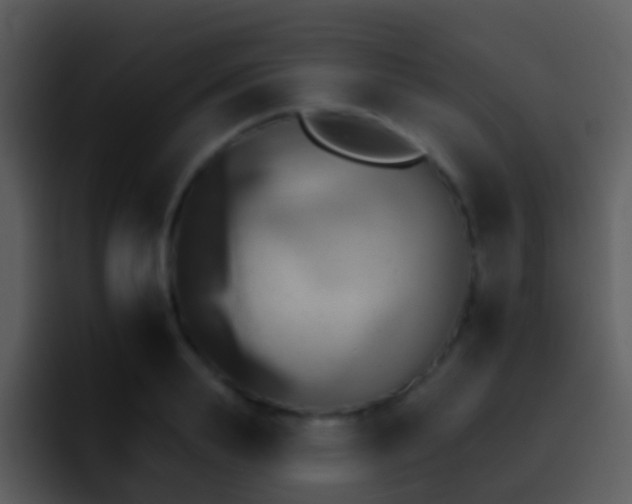 X0000095670839200801081207