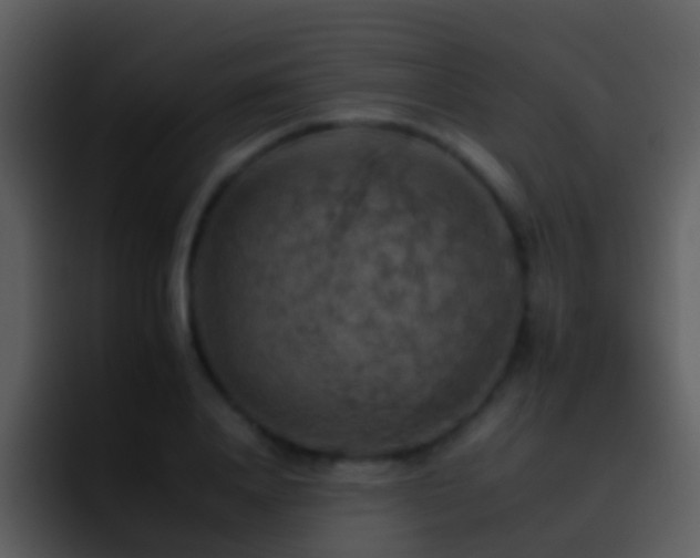 X0000095670840200801081207