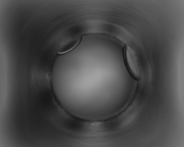X0000095670841200801081207