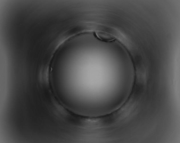 X0000095670842200801081207