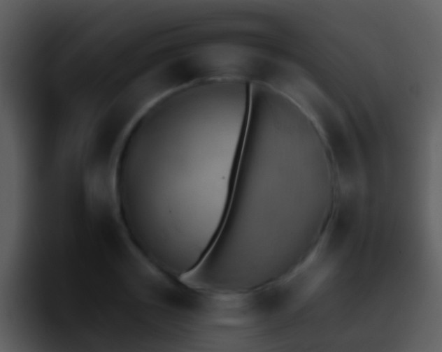 X0000095670843200801081207