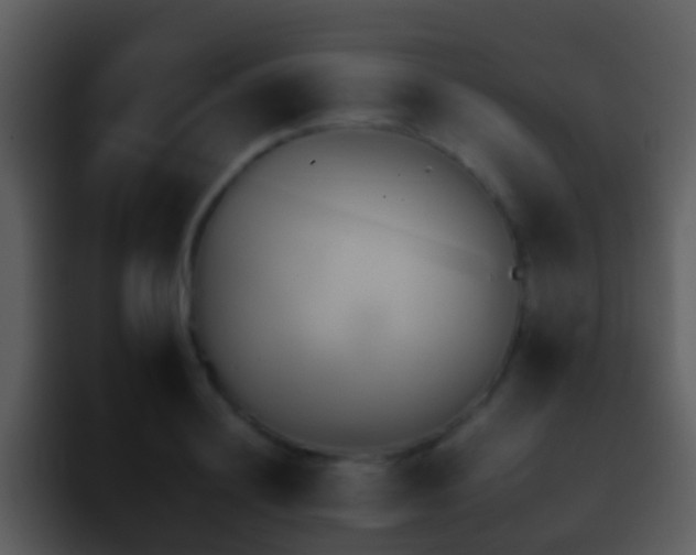 X0000095670844200801081207