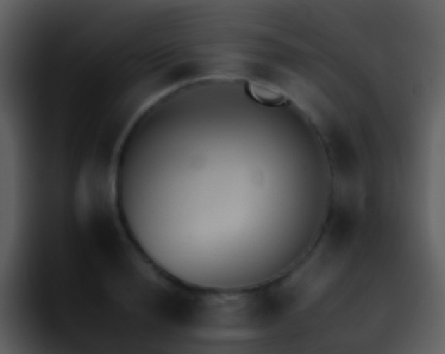 X0000095670846200801081207