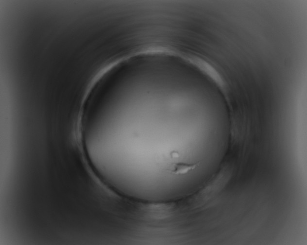 X0000095670847200801081207