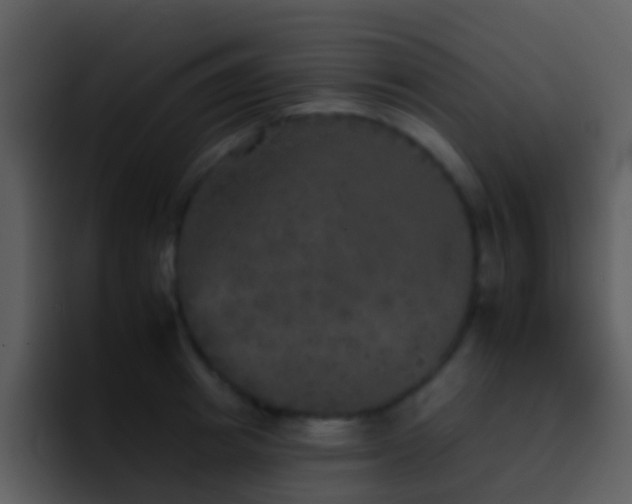 X0000095670849200801081207