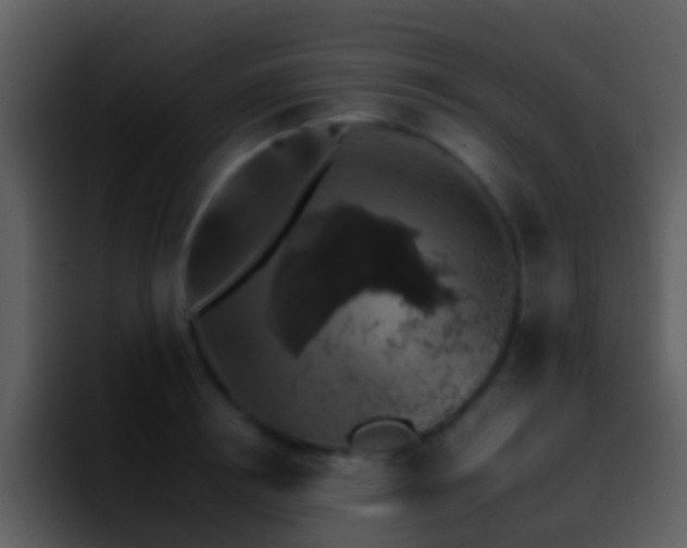 X0000095670850200801081207