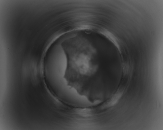 X0000095670851200801081207