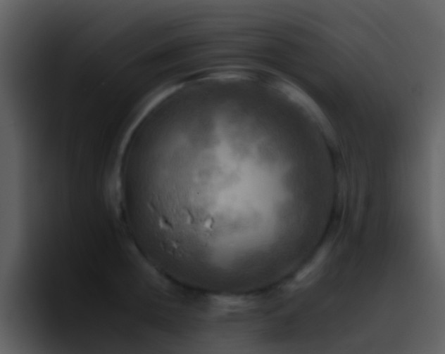 X0000095670852200801081207