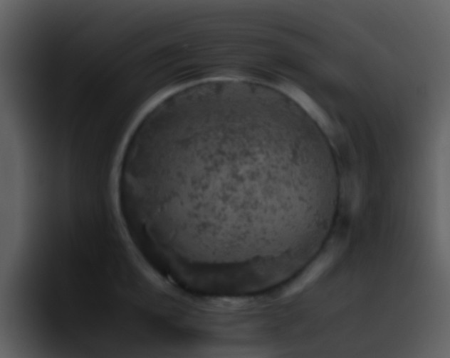X0000095670854200801081207