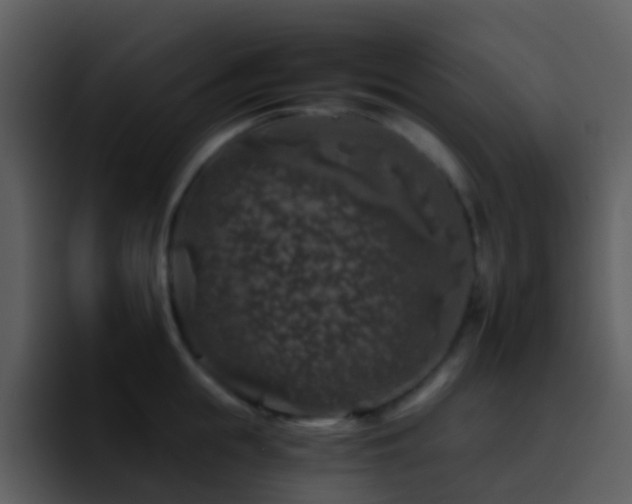 X0000095670855200801081207