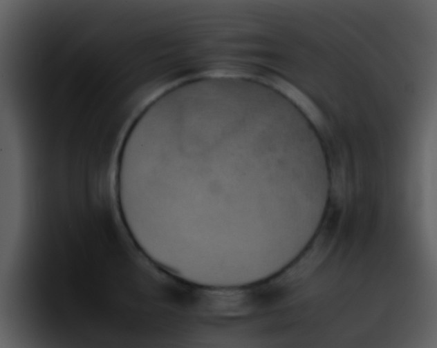 X0000095670856200801081207