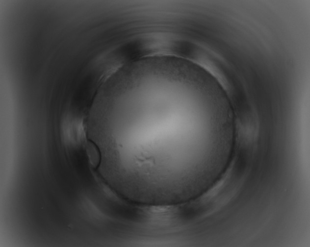 X0000095670857200801081207