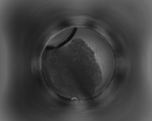 X0000095670858200801081207