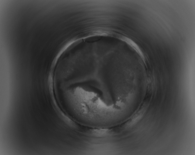 X0000095670859200801081207