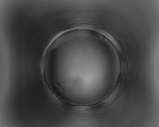 X0000095670860200801081207