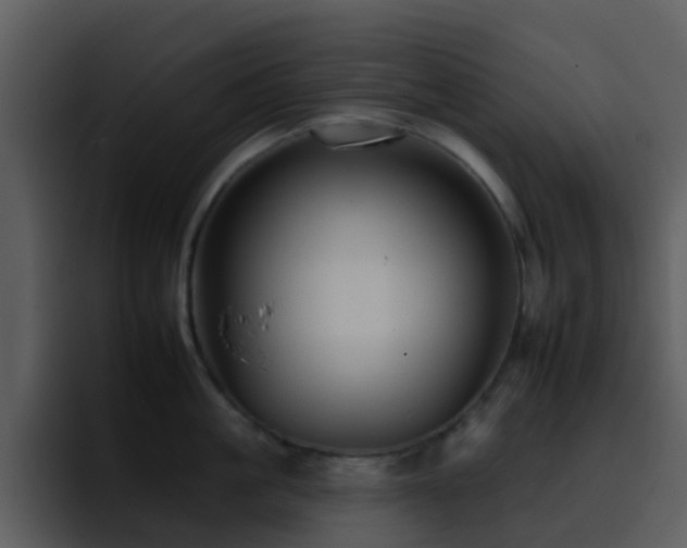 X0000095670861200801081207