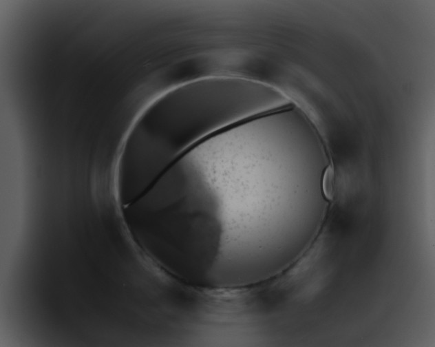 X0000095670862200801081207