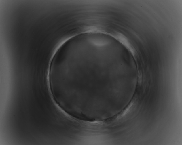 X0000095670863200801081207