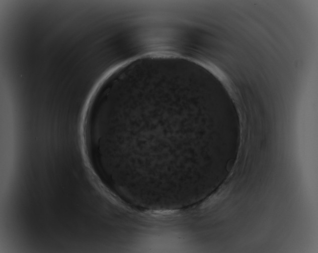 X0000095670864200801081207