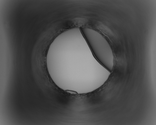 X0000095670865200801081206