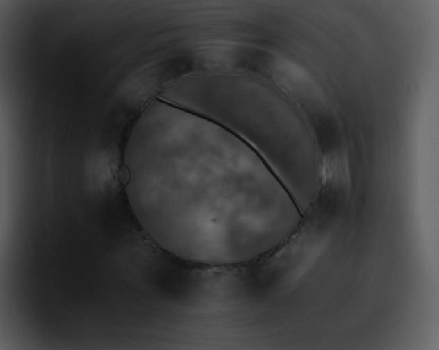 X0000095670867200801081206