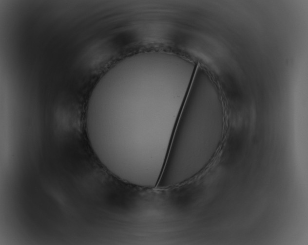 X0000095670869200801081206