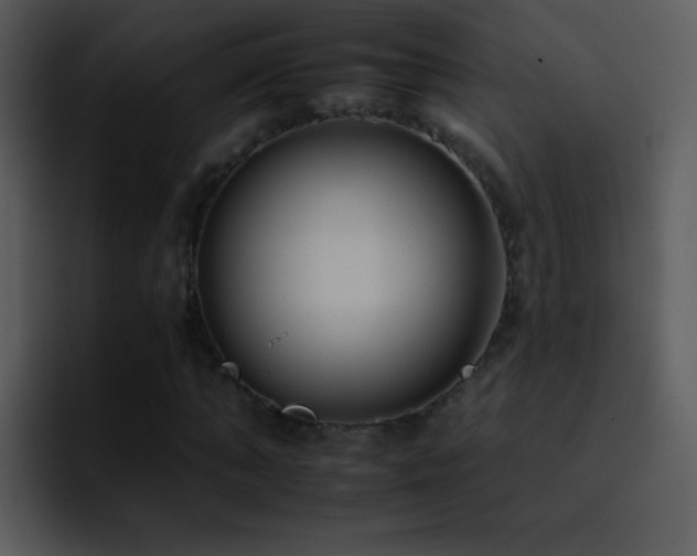 X0000095670870200801081206