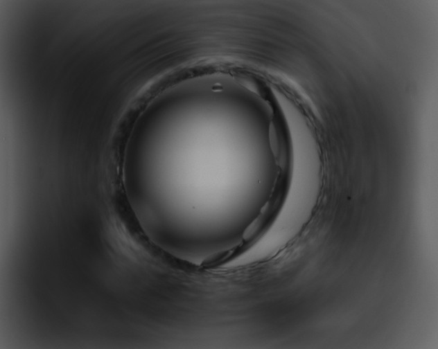 X0000095670871200801081206