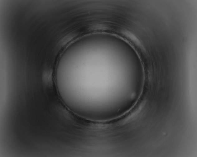 X0000095670873200801081206