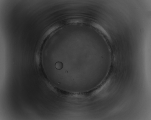 X0000095670874200801081206