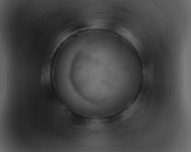 X0000095670875200801081206