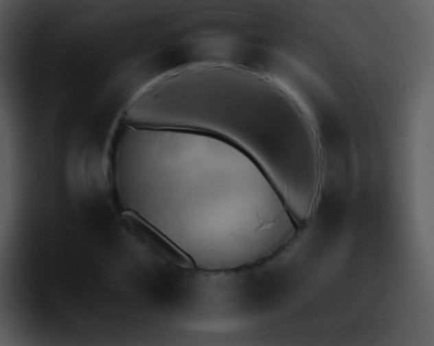 X0000095670876200801081206