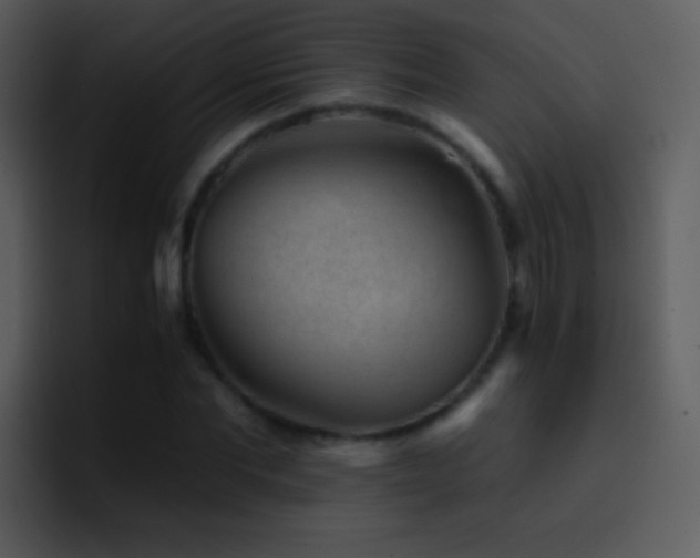 X0000095670877200801081206