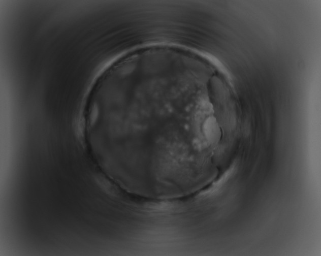 X0000095670879200801081206