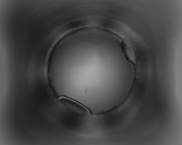 X0000095670880200801081206