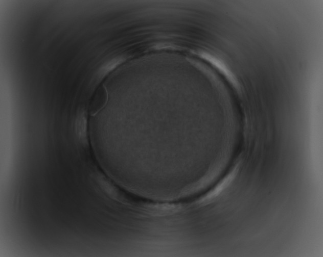 X0000095670881200801081206