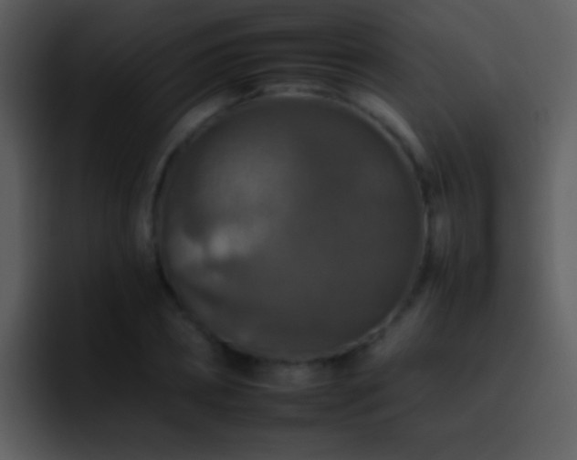 X0000095670882200801081206