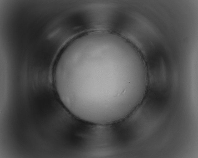 X0000095670883200801081206