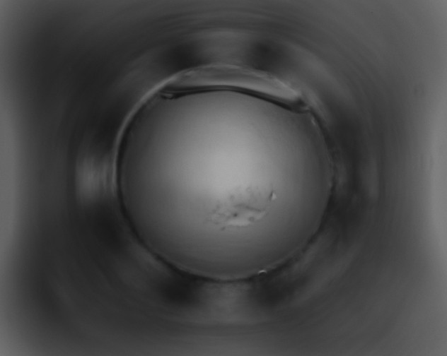 X0000095670884200801081206