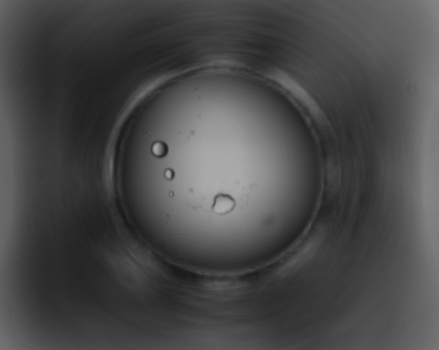 X0000095670886200801081206