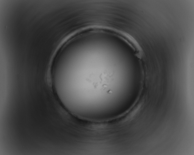 X0000095670887200801081206