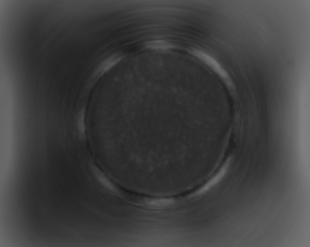 X0000095670889200801081206
