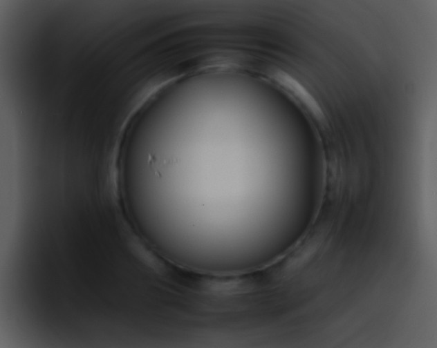X0000095670890200801081206