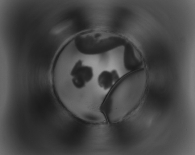 X0000095670891200801081206