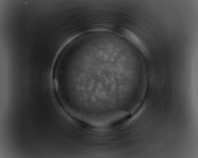 X0000095670892200801081206