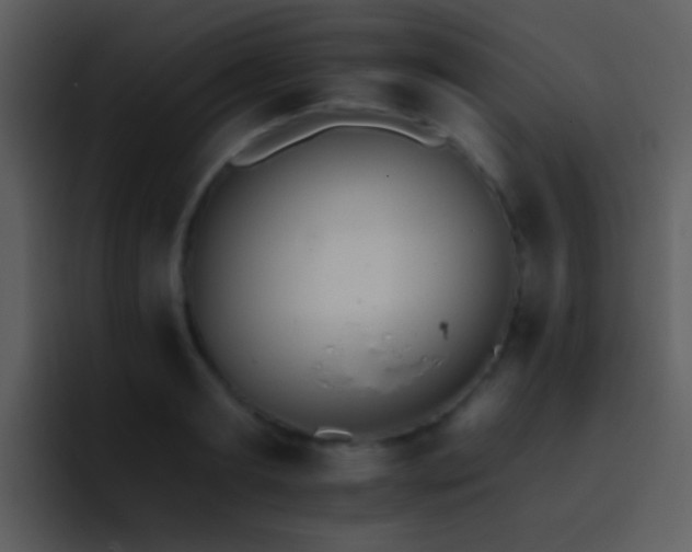 X0000095670893200801081206