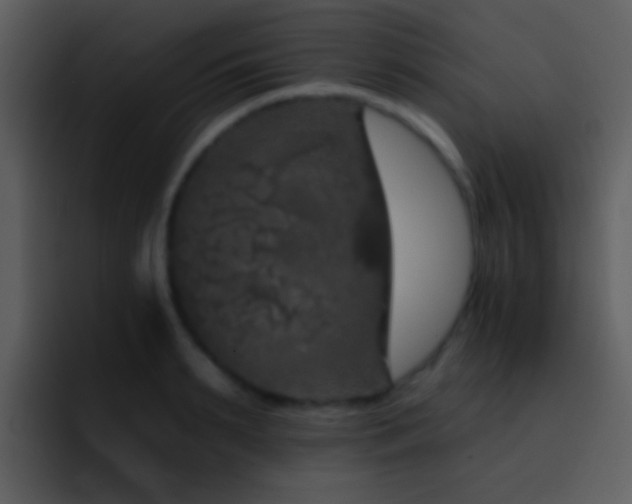 X0000095670895200801081206